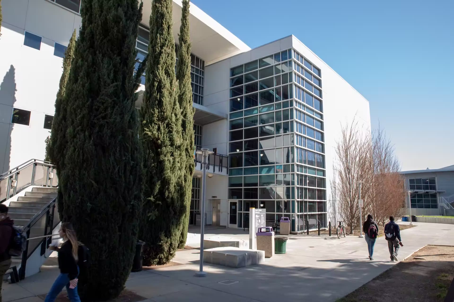 A white building with windows and trees in front